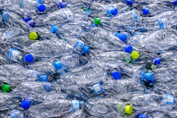 Crushed plastic bottles for recycling